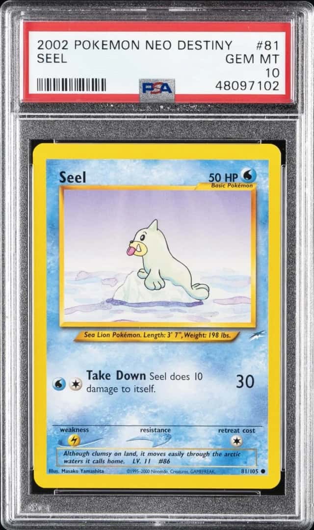 Seel
