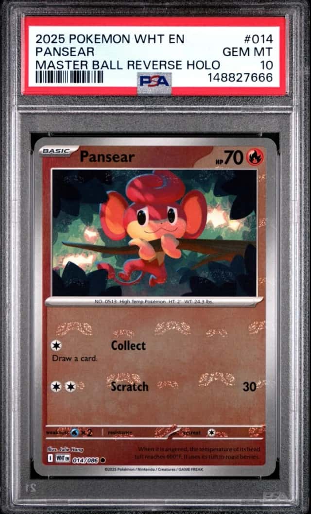 Pansear