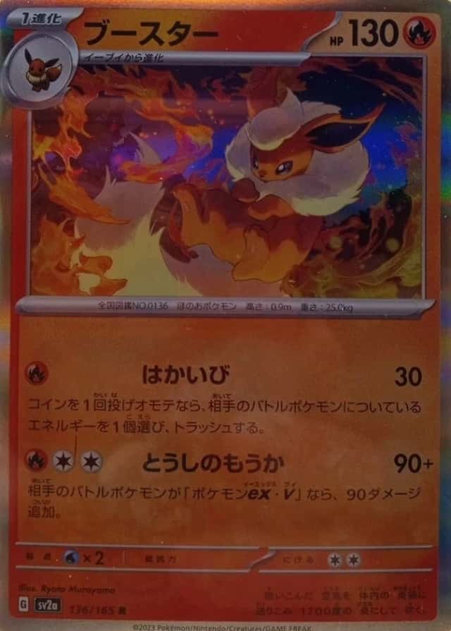 Holo