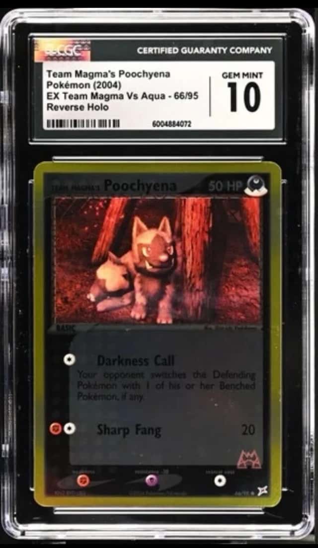 Magma's Poochyena