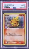 Torchic