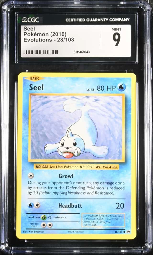Seel