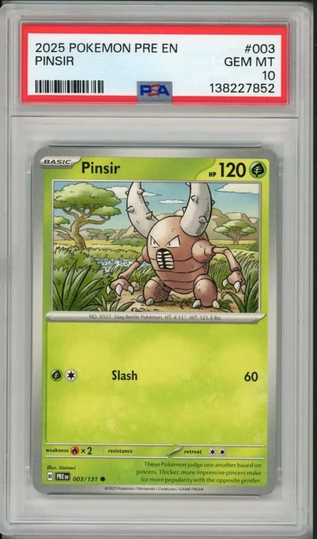 Pinsir