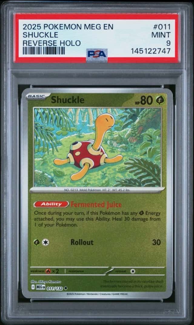 Shuckle