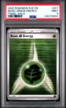 Basic Grass Energy