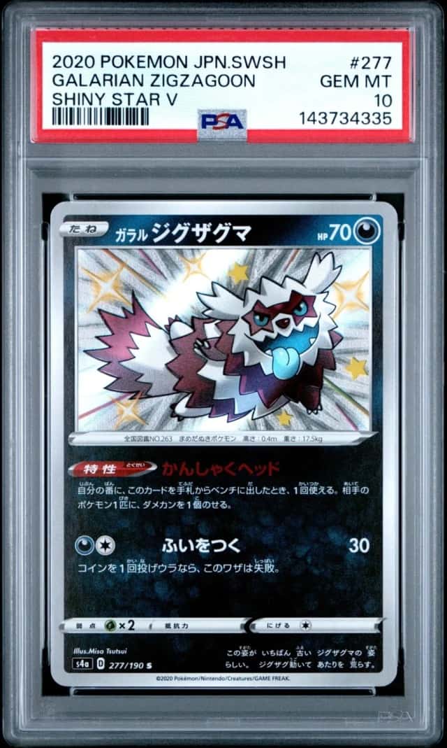 Galarian Zigzagoon