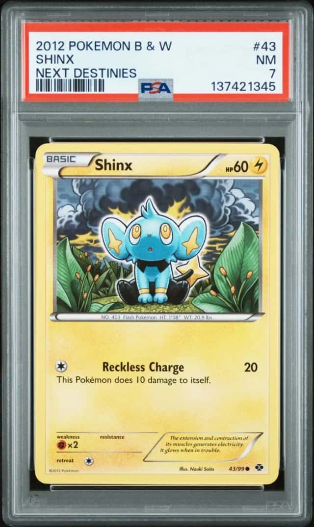 Shinx