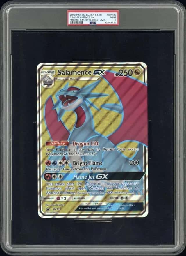 F.A./SALAMENCE GX