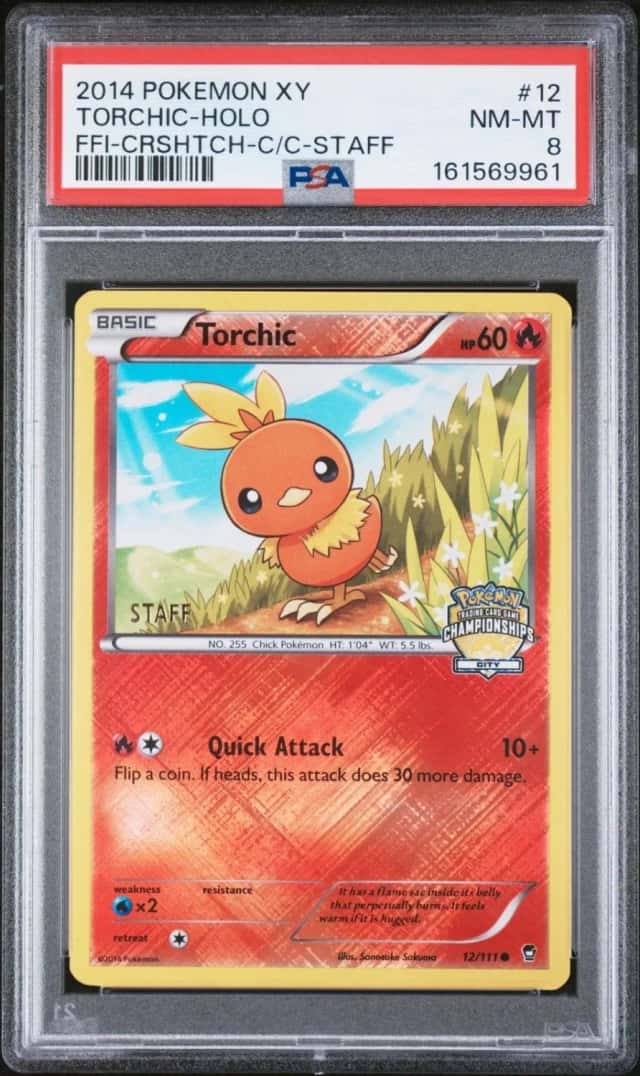 Torchic