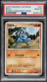 Riolu