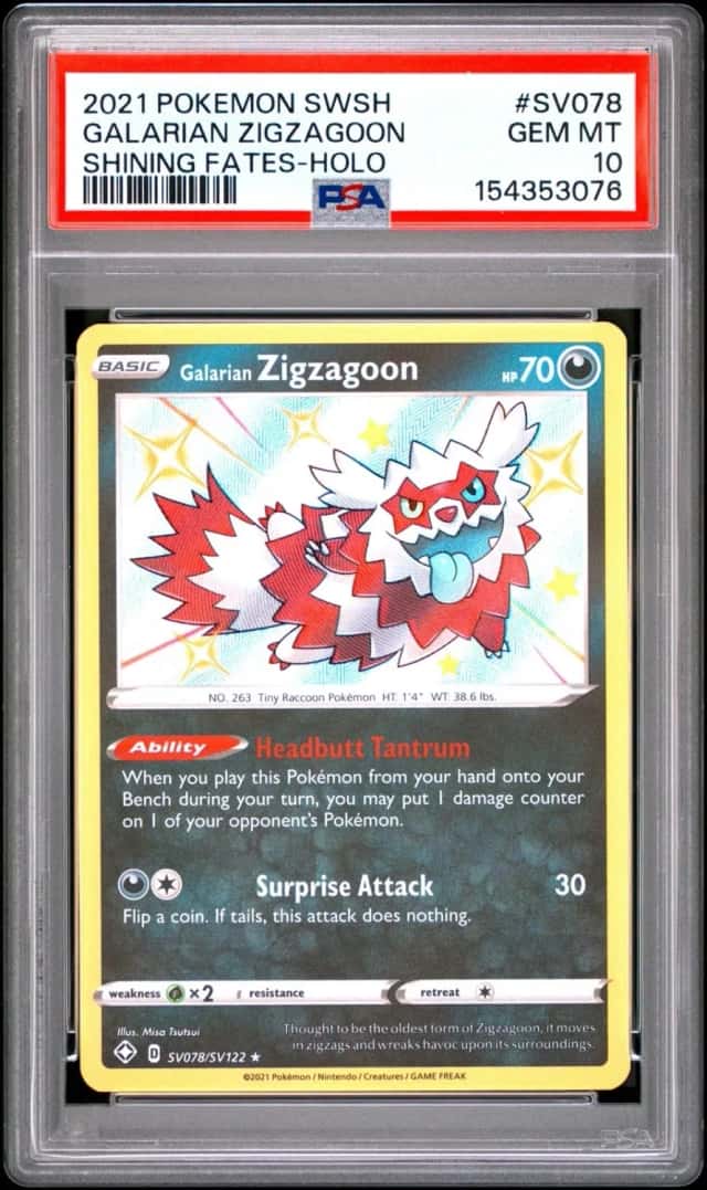 Galarian Zigzagoon