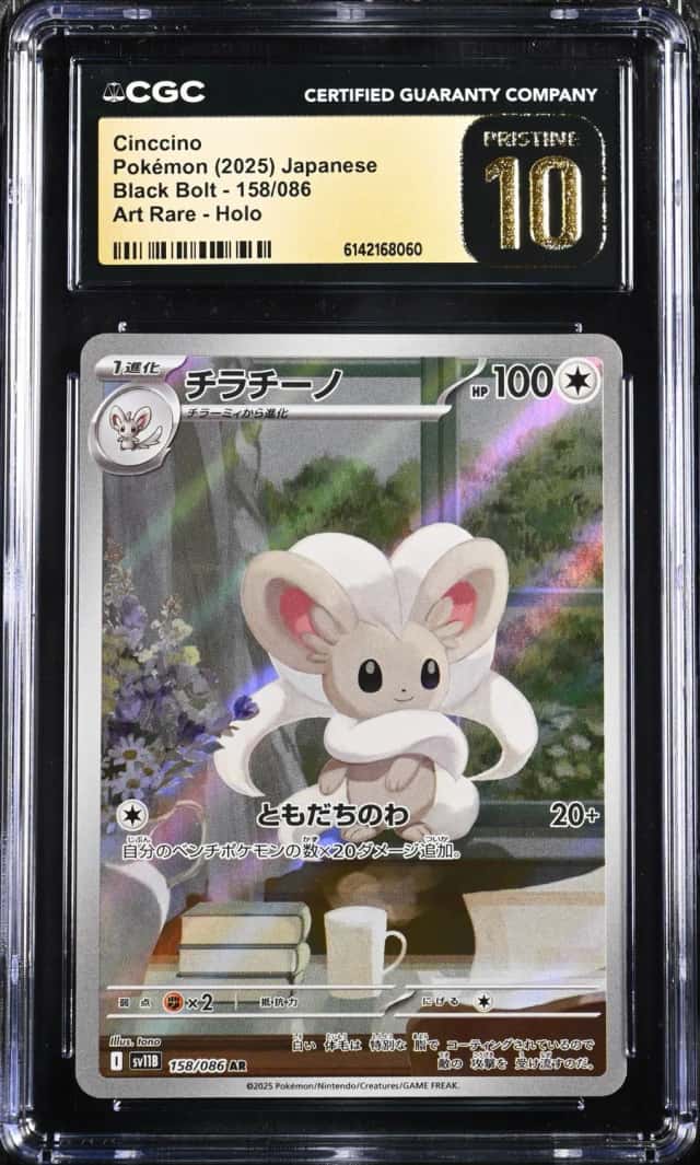 Cinccino