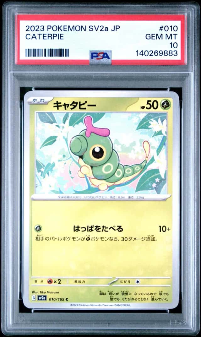 Caterpie
