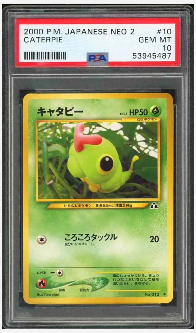 Caterpie