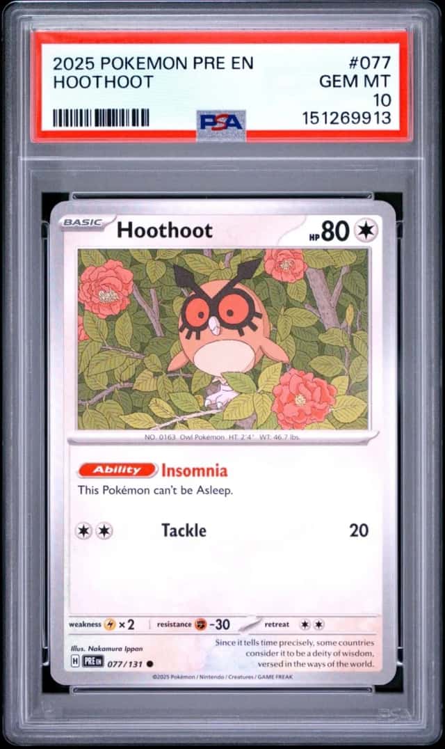 Hoothoot