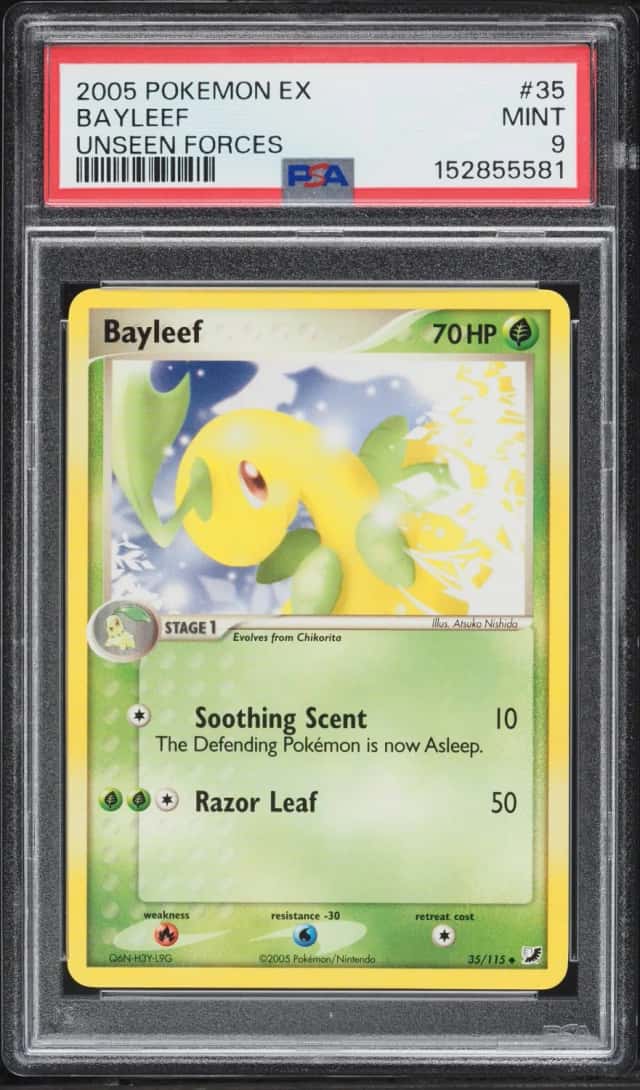 Bayleef