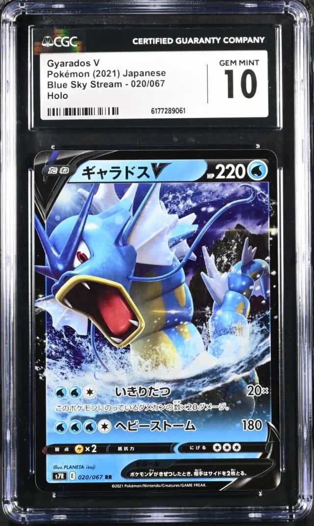 Gyarados V