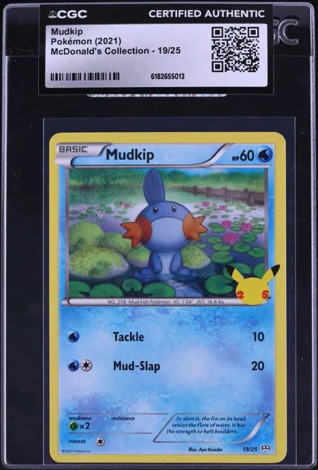 Mudkip