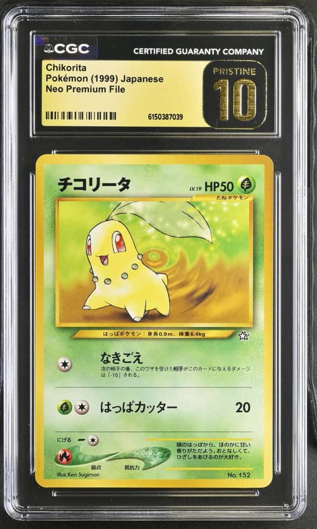 Chikorita