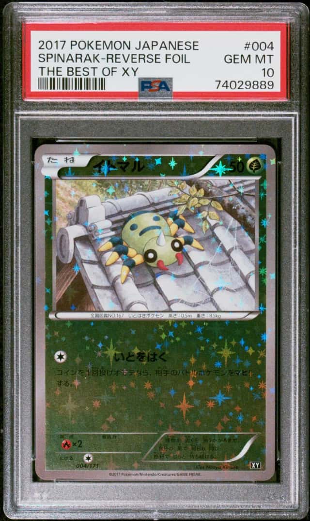 SPINARAK-REVERSE FOIL