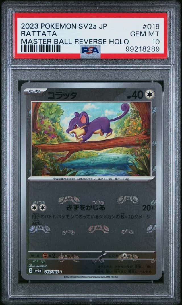 Rattata