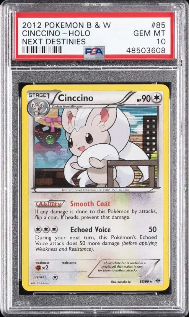 Cinccino