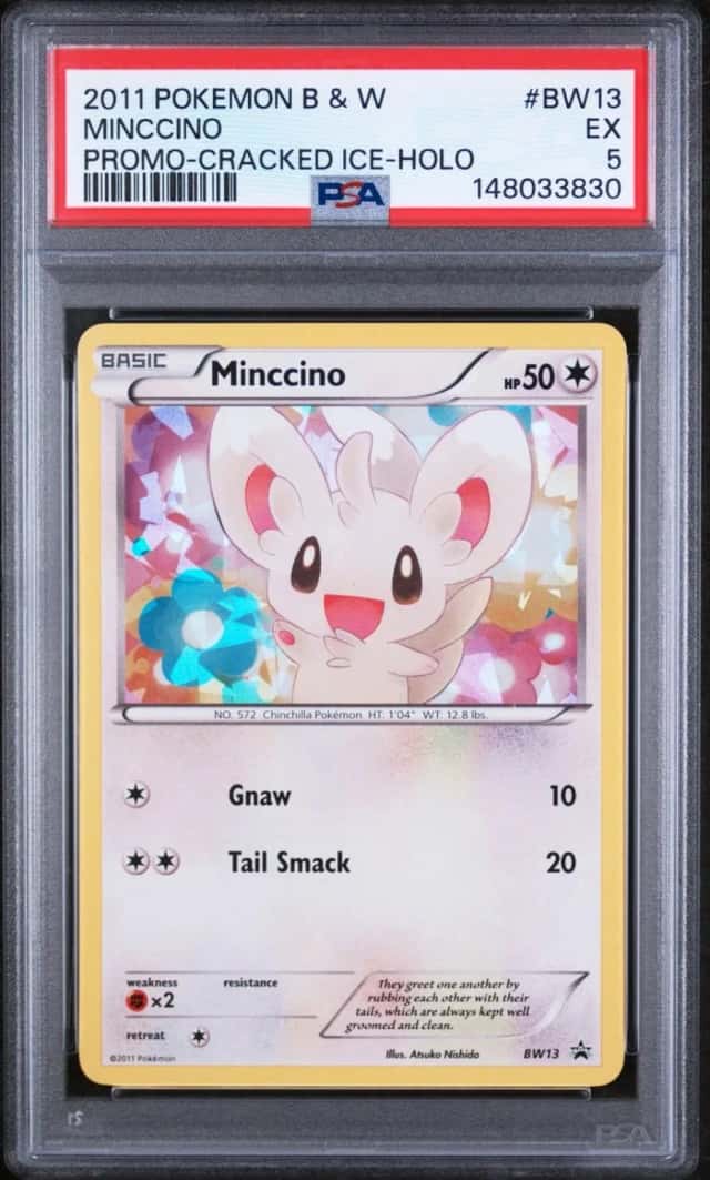 Minccino
