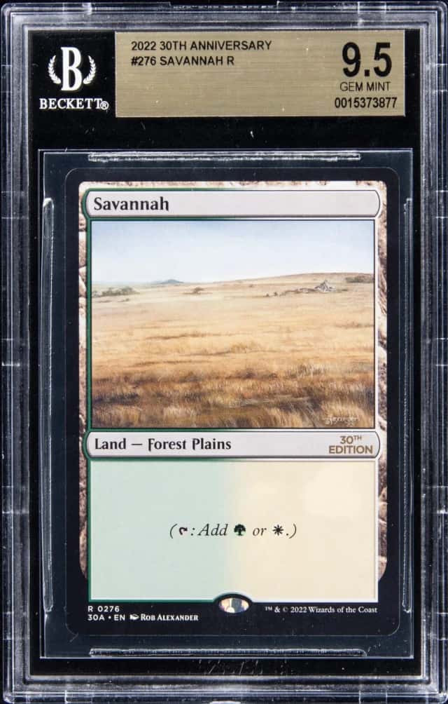 Savannah
