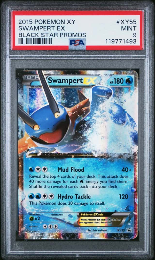 Swampert EX
