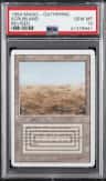 Scrubland