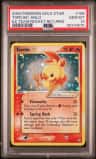 Torchic