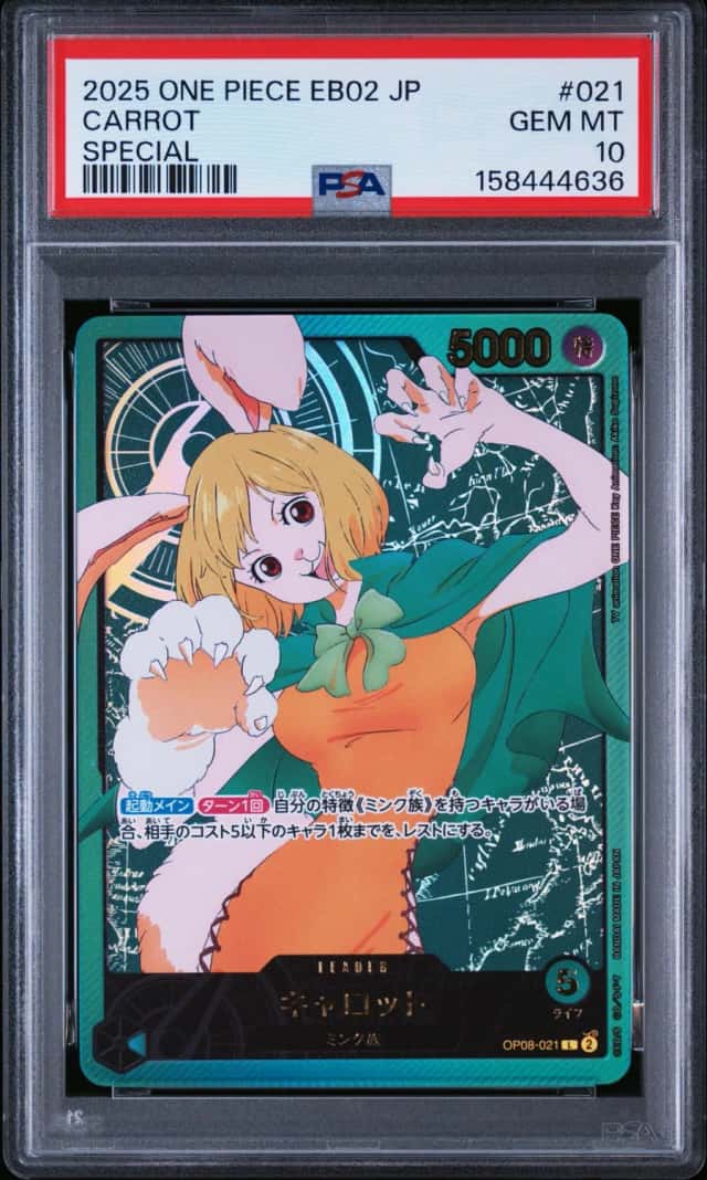 Carrot