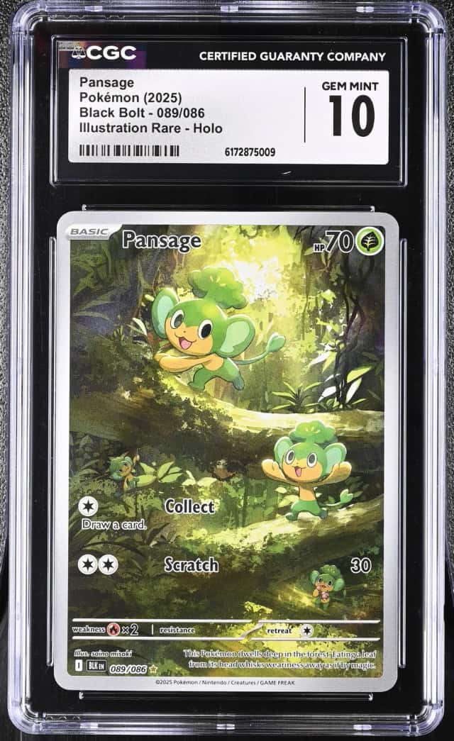 Pansage