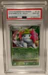 Shaymin Lv X