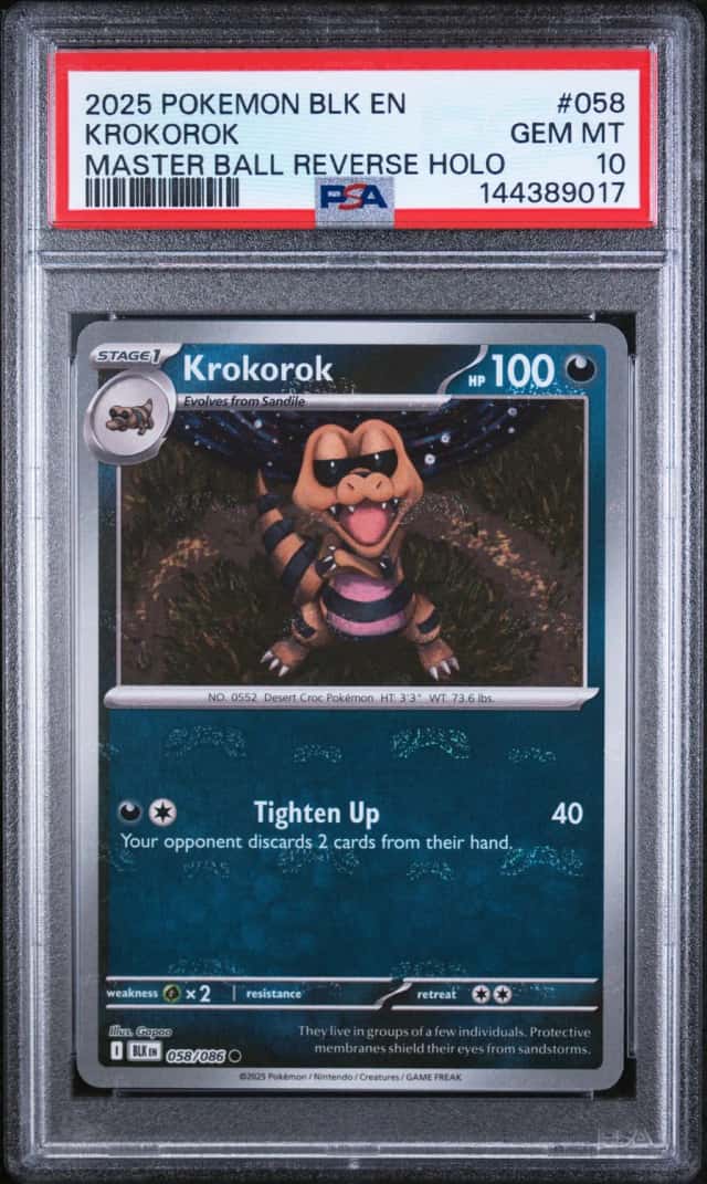 Krokorok