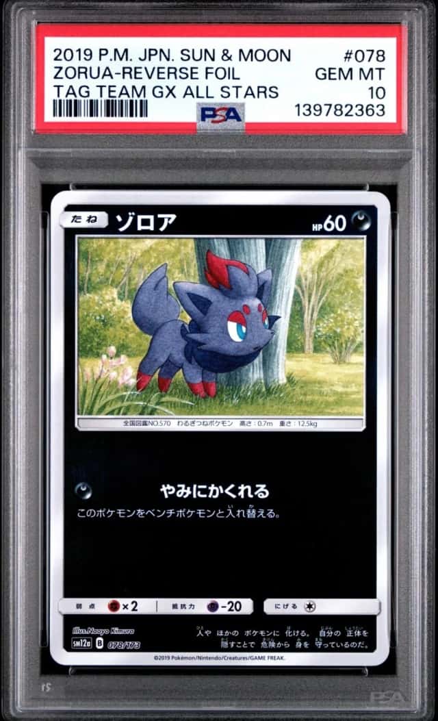 Zorua