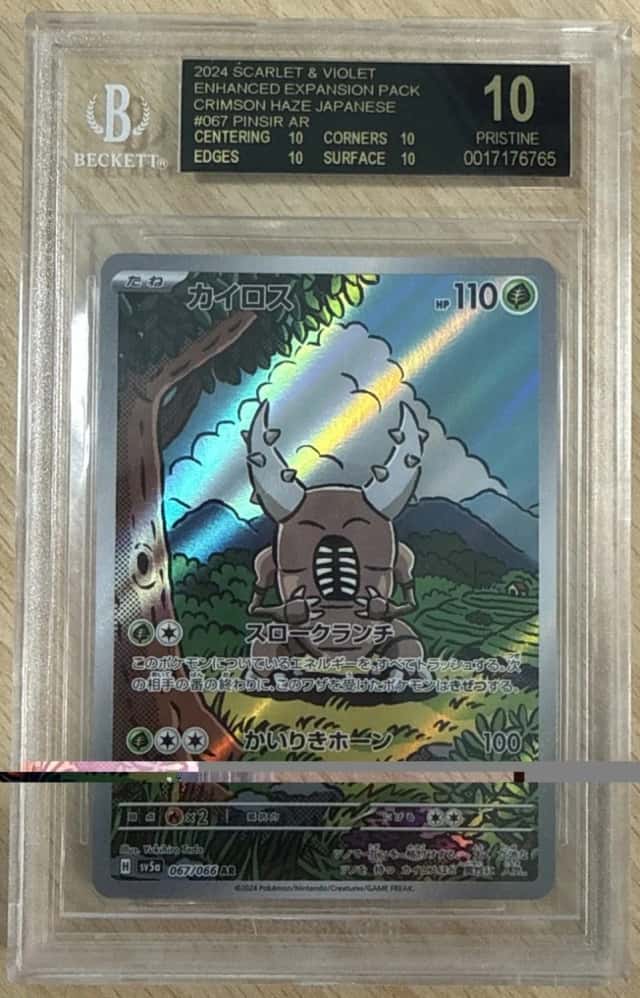 Pinsir