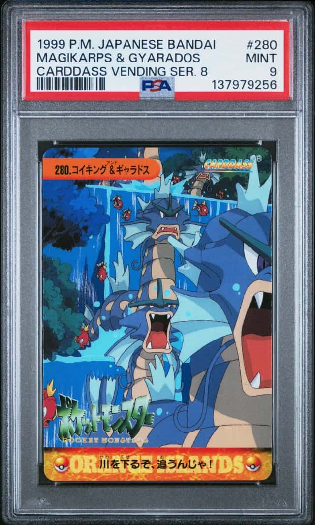 Magikarps & Gyarados