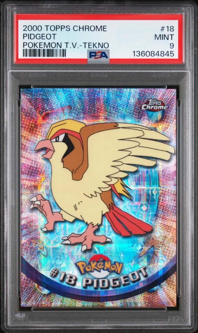 Pidgeot