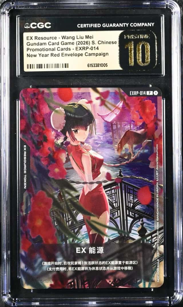 EX Resource - Wang Liu Mei
