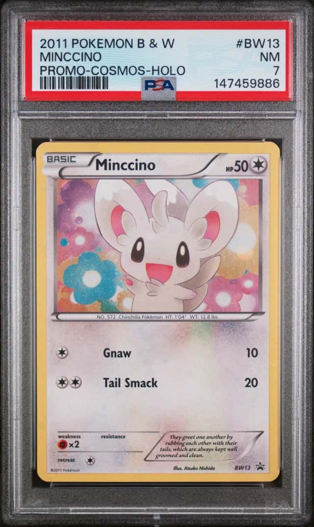 Minccino