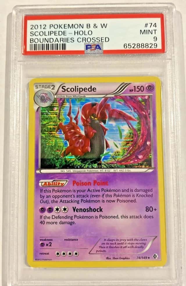 Scolipede