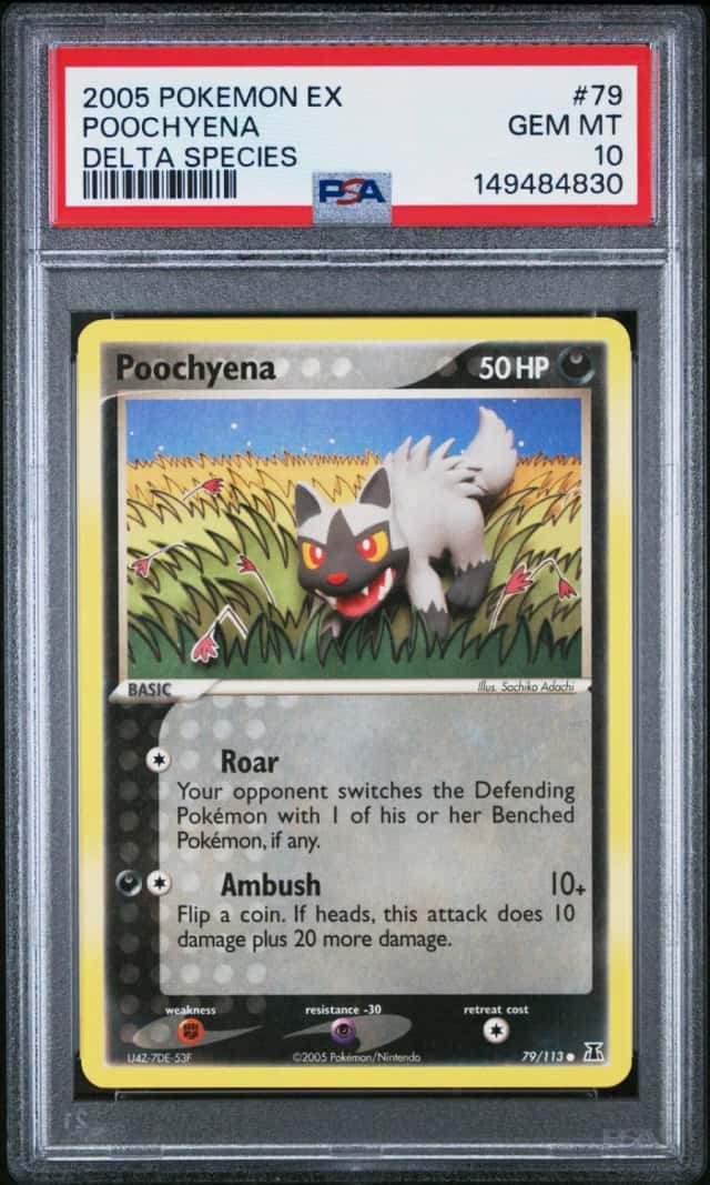 Poochyena