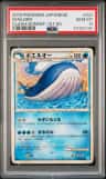 Wailord