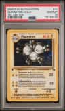 Magneton