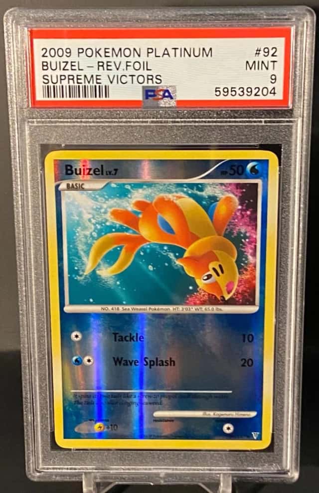 BUIZEL
