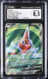 Rotom V