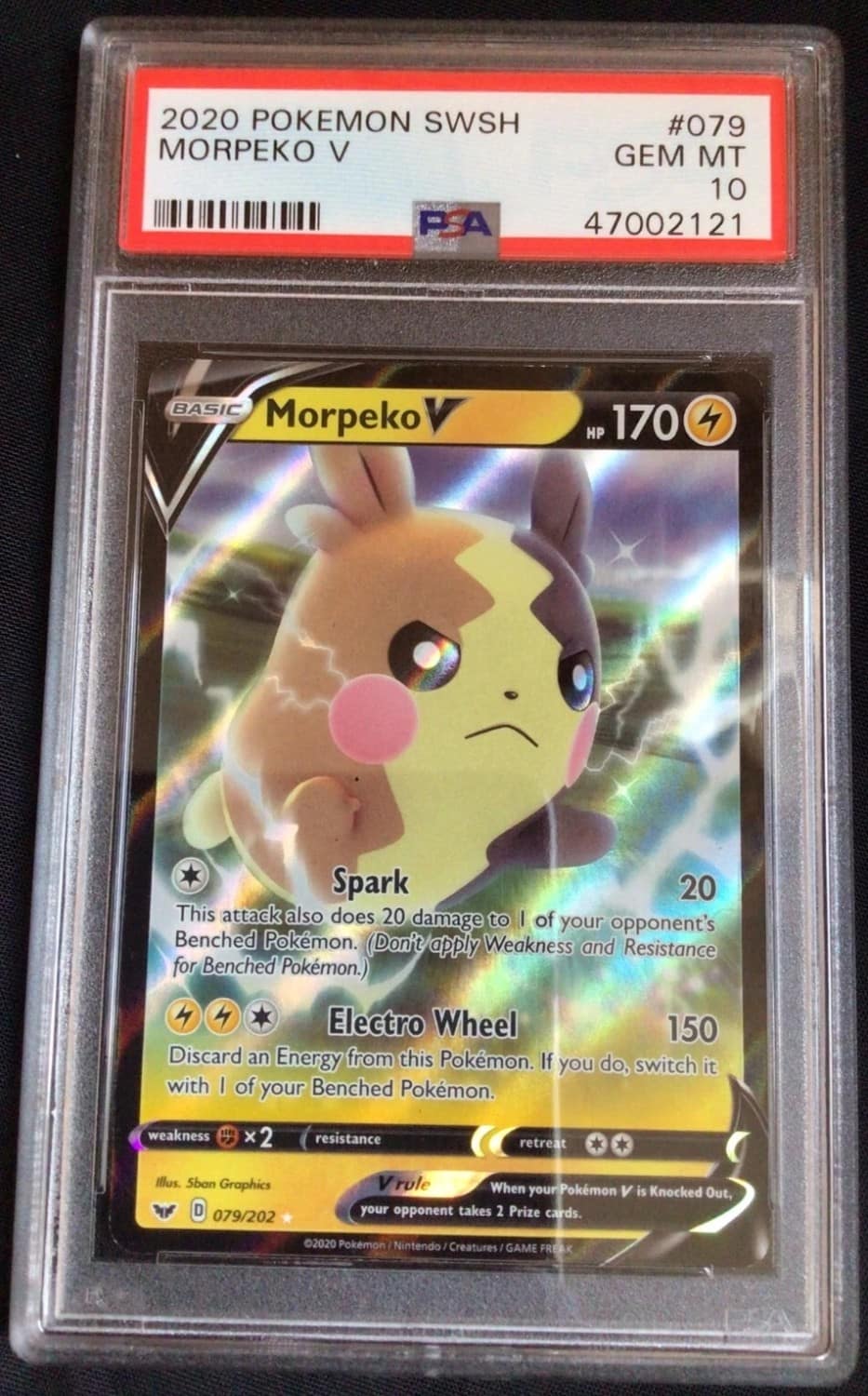 Morpeko V