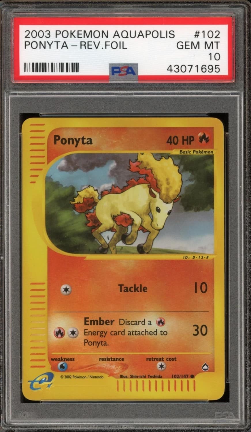 Ponyta