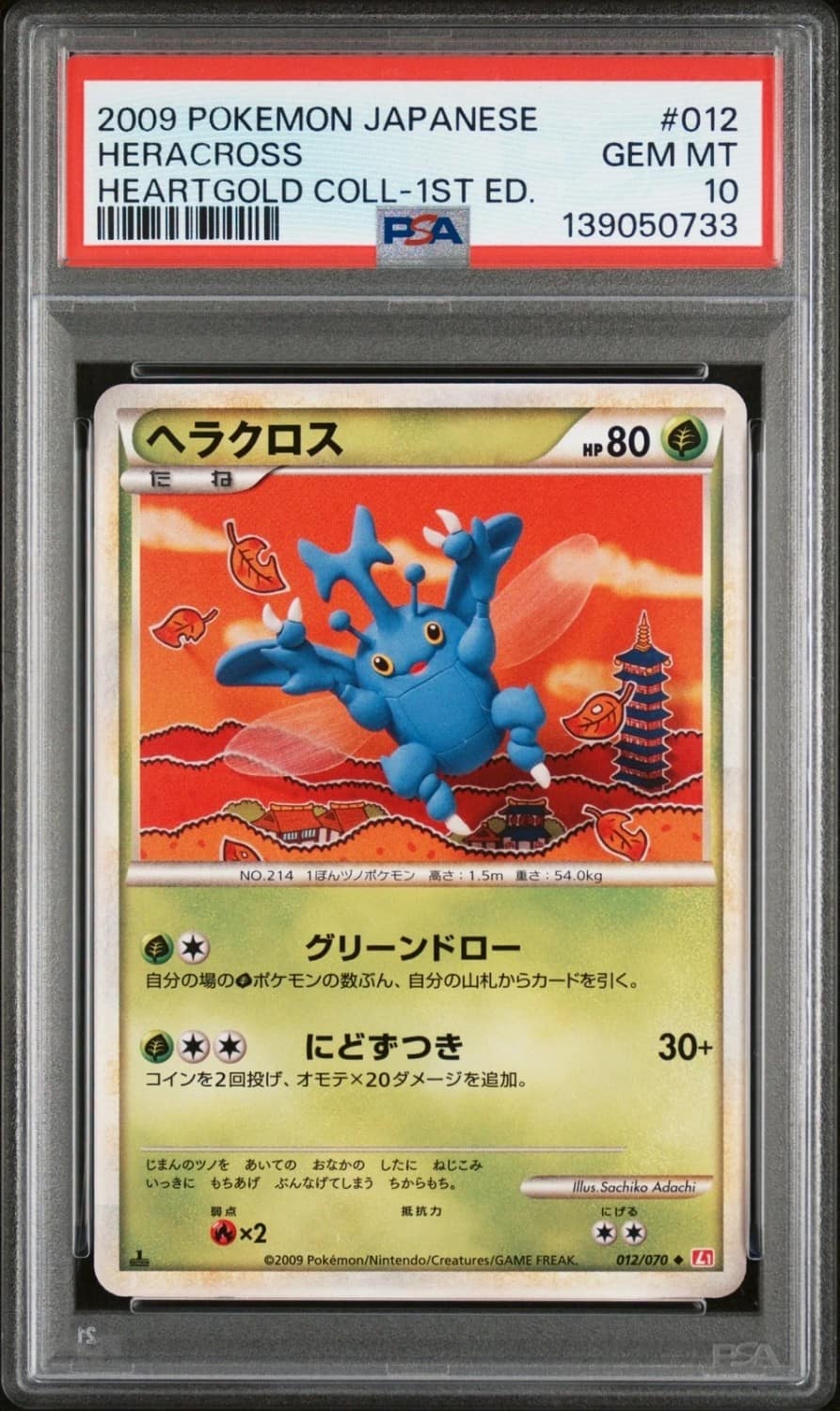 Heracross